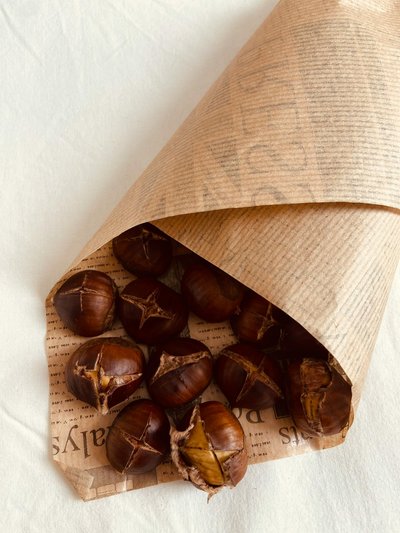 pexels-fzaytt-1330900078-29845458